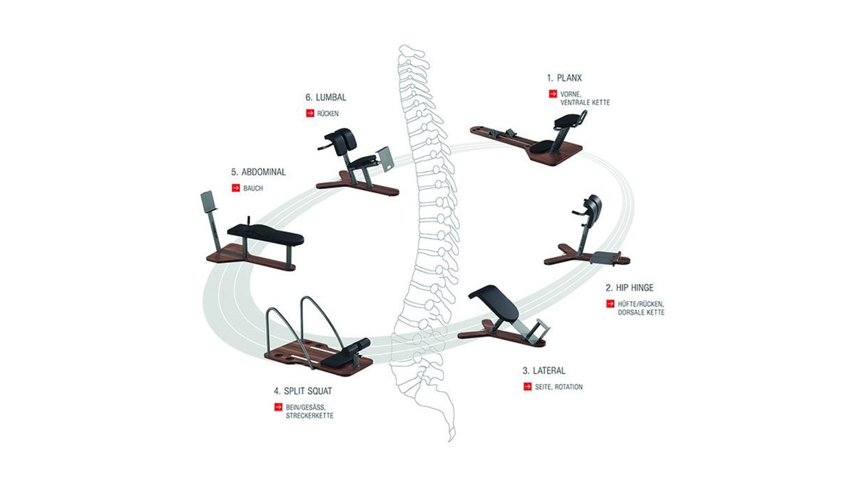 Vorschaubild: Dr. Wolff Rückenzirkel