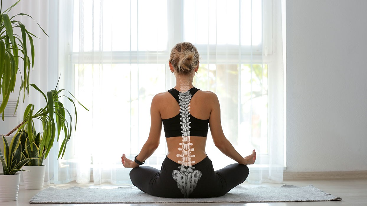 Vorschaubild: Rücken & Gelenke