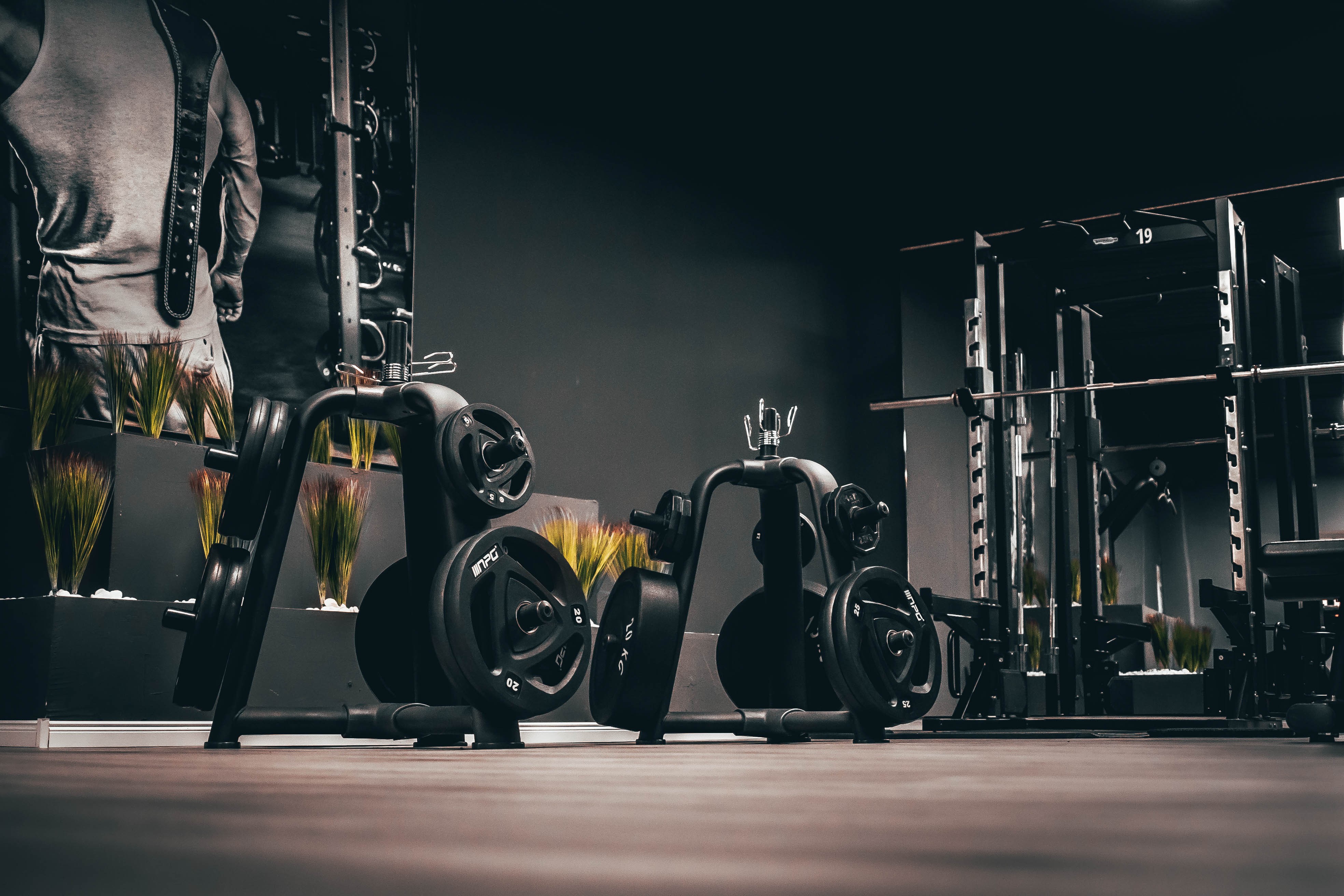 Vorschaubild: Figur- und Muskeltraining